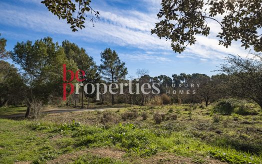 Adosada en la Eixample