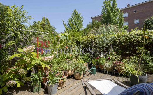 Planta baja en venta Coll Favà