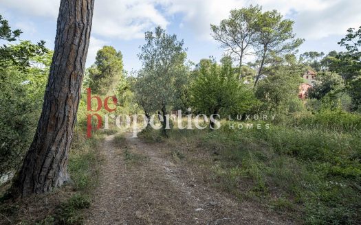 Terreno segregable en la Floresta