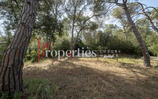 Terreno segregable en la Floresta