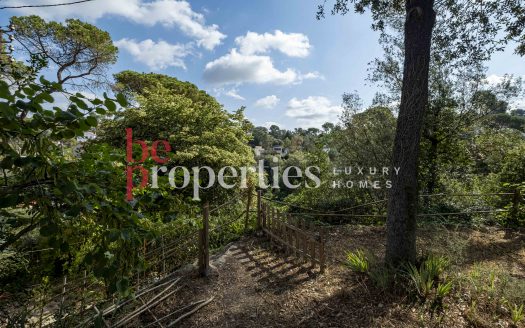 Terreno segregable en la Floresta