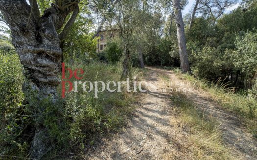 Terreno segregable en la Floresta