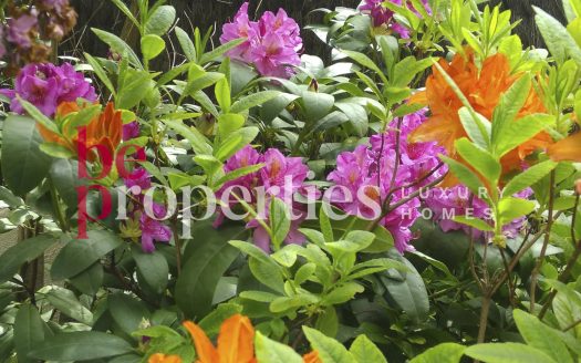 Elegante pareada en el Golf