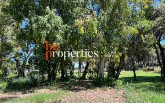 Terreno agricola en Gavà Mar