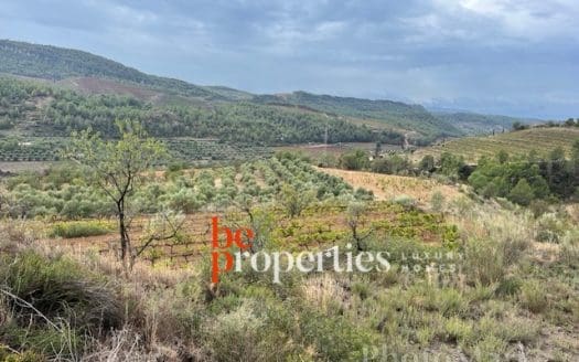 Finca con viñedos y olivares en el Molar, Priorat