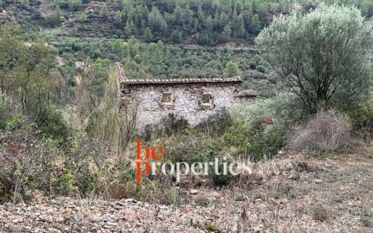 Finca con viñedos y olivares en el Molar, Priorat