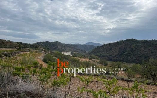 Finca con viñedos y olivares en el Molar, Priorat