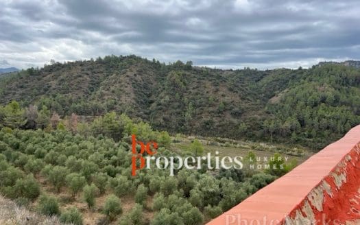 Finca con viñedos y olivares en el Molar, Priorat