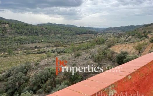 Finca con viñedos y olivares en el Molar, Priorat