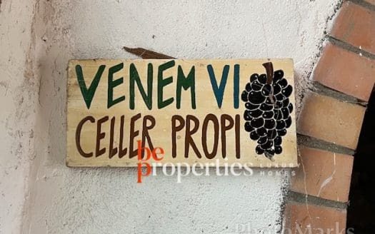 Finca con viñedos y olivares en el Molar, Priorat