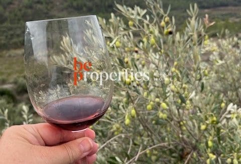 Finca con viñedos y olivares en el Molar, Priorat