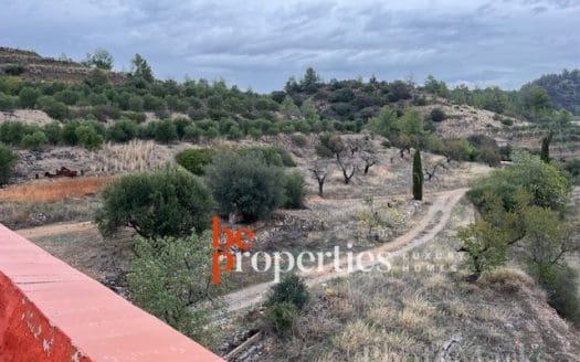 Finca con viñedos y olivares en el Molar, Priorat
