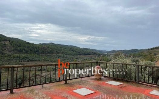 Finca con viñedos y olivares en el Molar, Priorat