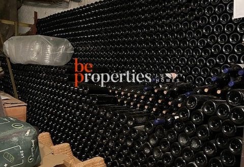Finca con viñedos y olivares en el Molar, Priorat