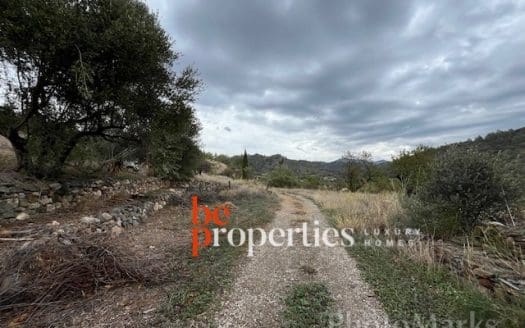 Finca con viñedos y olivares en el Molar, Priorat