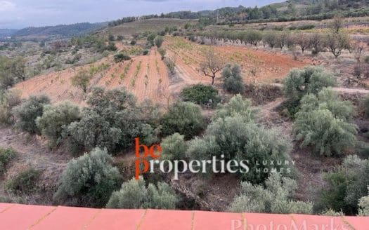 Finca con viñedos y olivares en el Molar, Priorat