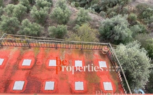 Finca con viñedos y olivares en el Molar, Priorat